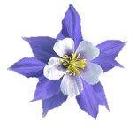 cut from personal photo in psp v7