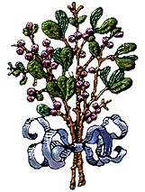 line drawing painted in psp v7