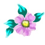 drawn and painted in psp v7