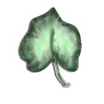 drawn and painted in psp v7